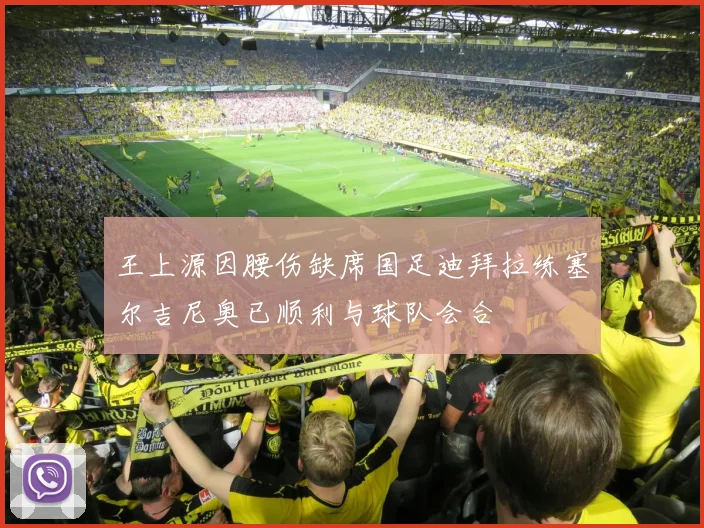 王上源因腰伤缺席国足迪拜拉练塞尔吉尼奥已顺利与球队会合